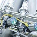 They’re in their element