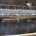 Well handled Pulsar Process Management