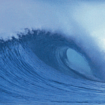 The new wave of interest