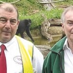 Monkey business – Lanes for Drains Lanes for Drains