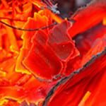 Burning question resolved