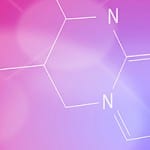 Four share £5m fund Four share £5m fund