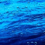 Godwin leads the way