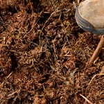 Lobbying pays off as test plans are delayed