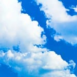 Shortlisted firms in wait for decision