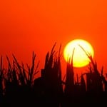 Research cash funds university’s mission for low-carbon fuels