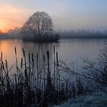 Landia get the balance right at top Shropshire attraction Landia get the balance right at top Shropshire attraction