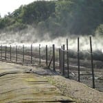 Perception and reality – David Hill discusses new techniques Perhaps the most persistent problem plaguing the waste industry is nuisance odour. David Hill, president of GOC Technologies, believes new techniques could help restore public confidence