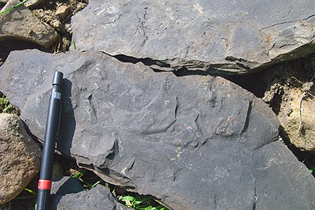 The dark grey rocks of the Bowland shale area