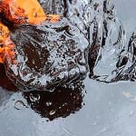 Cellulose-based gel absorbs oil efficiently hands