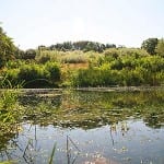 Brewery selects SBR system for wastewater treatment Otter Brewery