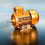 Motor for pumps picks up prize 22A_0514