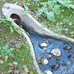 Natural look drainage outfall 45A_0514