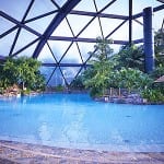 Subtropical Swimming Paradise