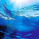 Chek it out 24a_0914