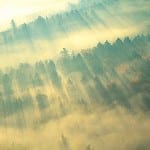 Satellite data certifies biomass 4b_0914