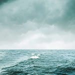 UK resilience questioned 5a_0714