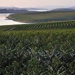 A damn fine result: Coffee wastewater energy evaluated UTZ Certified said the project simultaneously generates energy, tackles climate change and protects water resources.