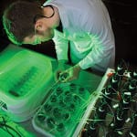 A quick guide for AD newcomers An AD solutions provider can evaluate the feedstocks and other factors to come up with an optimal approach.