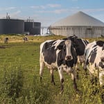 North Wales AD plant is first to obtain ABP approval Lodge Farm Biogas