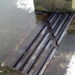 New fish & eel passes help more species to migrate upstream