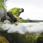 Using biodiversity to identify sediment pollution in rivers