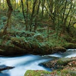 Our rivers: A call for action