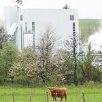 The heat from the draff