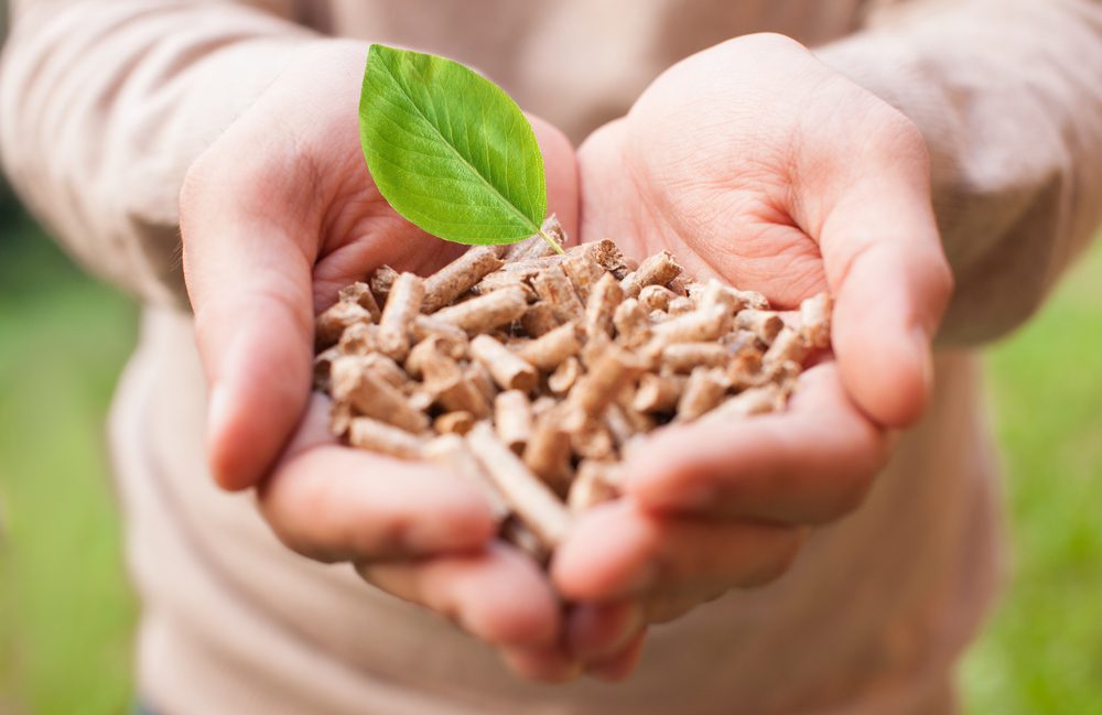 Managing growth in an era of degression | Envirotec