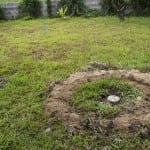 Cash boost to help septic tank owners clean-up their act