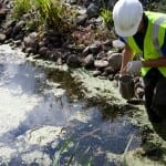 Sludge treatment past and future