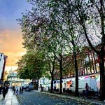 Rooting out sewer vulnerabilities