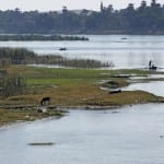 Scheme aims to improve access to sanitation in Egypt