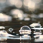 The carbon conundrum