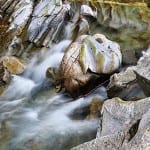 Innovation in a time of uncertainty