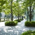 Pollution dispersion in cities improved by trees, study finds