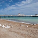 Southern Water fined £160,000 for major sewage pollution at Sussex beaches