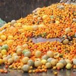 Sainsbury’s stores run on energy from supermarket food waste