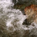 Fuel-from-sewage deal to support Swedish sustainable transport