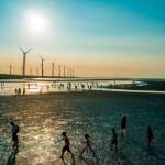 UK marching against the tide on renewables policy, says UN chief scientist