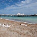 shutterstock_297909419