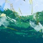 Sea trash data suggests holistic response