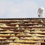 Helping the workforce learn to manage asbestos
