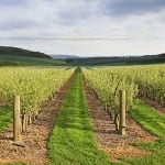 Soil map of England and Wales now available online