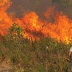 shutterstock_113572051