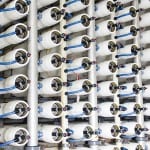 shutterstock_186023477