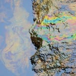 Sponges offer hope for affordable spill handling