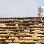 shutterstock_372144604