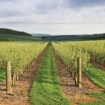 Bluesky_NSM_Kent_Vineyard