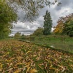 Gas analyzer acquisition